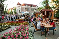 Hévíz tavasztól, őszig virágzó színpompával is vidámmá teszi a vendégek belvárosi sétáit, a kávézók teraszait.
www.heviz.hu
